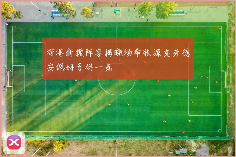 海港新援阵容揭晓杨希张源克劳德安佩姆号码一览